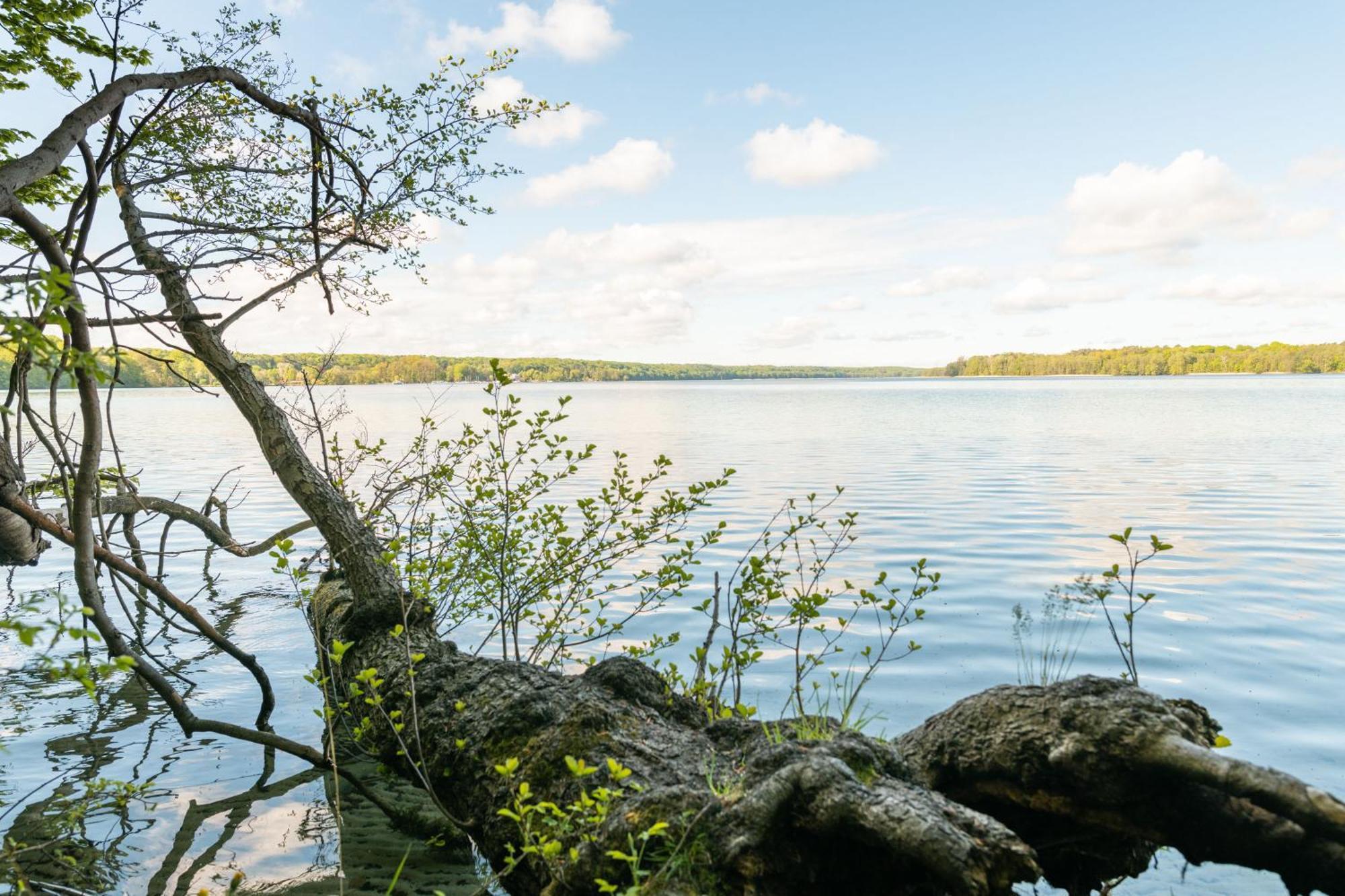Budget Seezeit-Resort Am Werbellinsee Altenhof  Kültér fotó